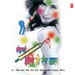 Saiyan Houle Se Rang Daal - Gautam Kole Song Download